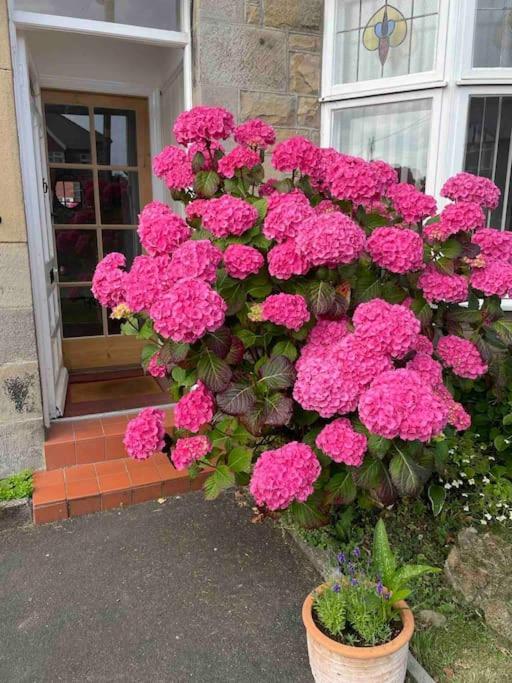 Kelvinside, Seahouses, 2 Minute Walk Into Village Exterior photo